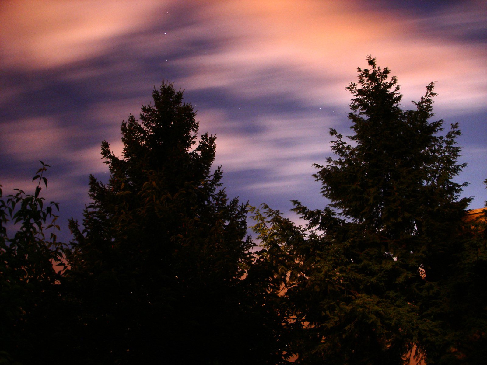 the trees at dusk are silhouetted against a sky with clouds