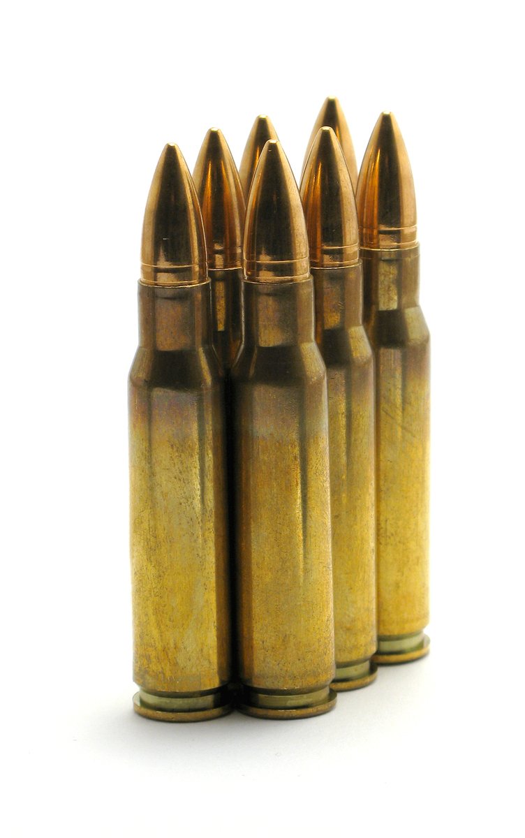several gold bullet shells lined up on a white background
