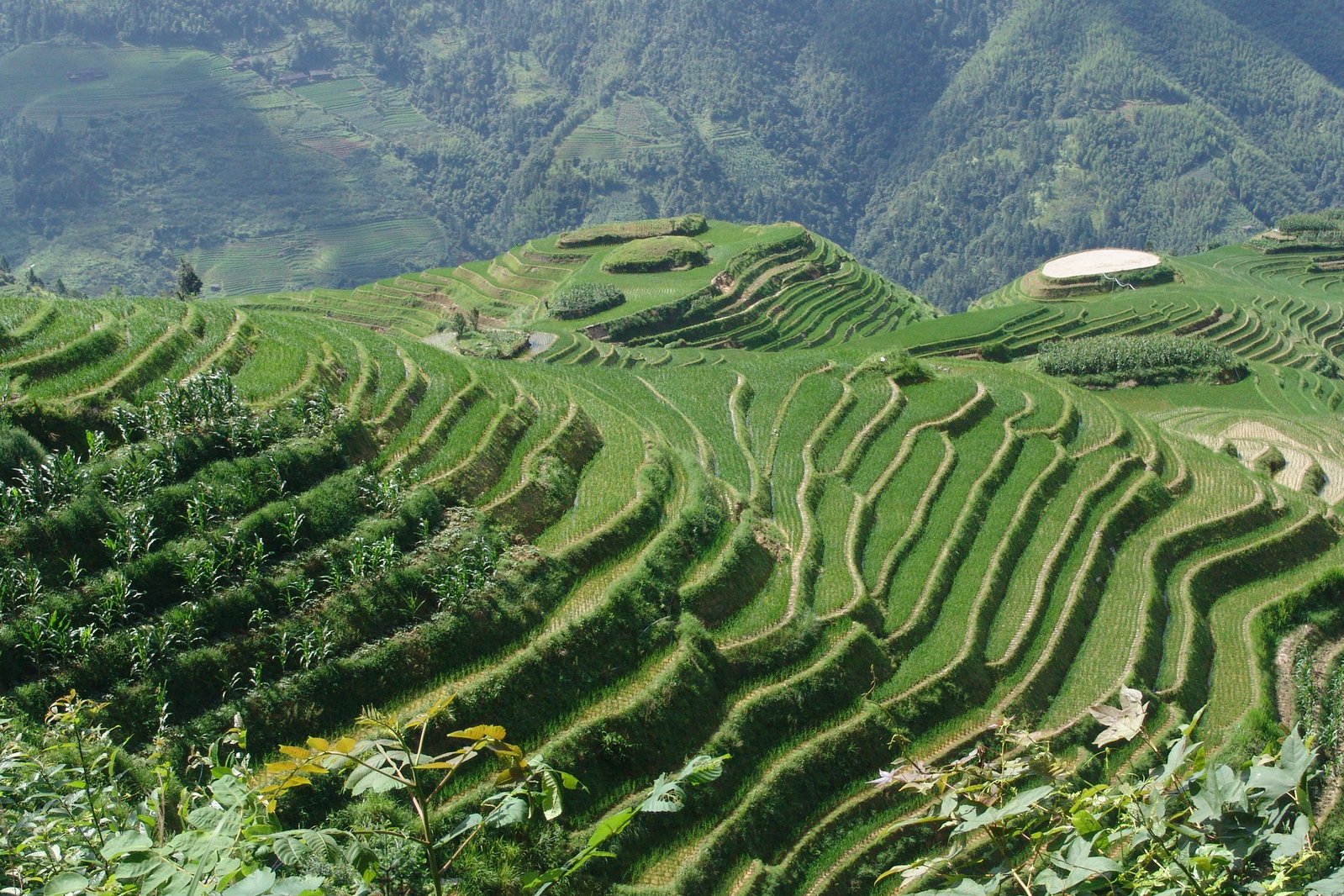 a landscape covered in large green rice terraces