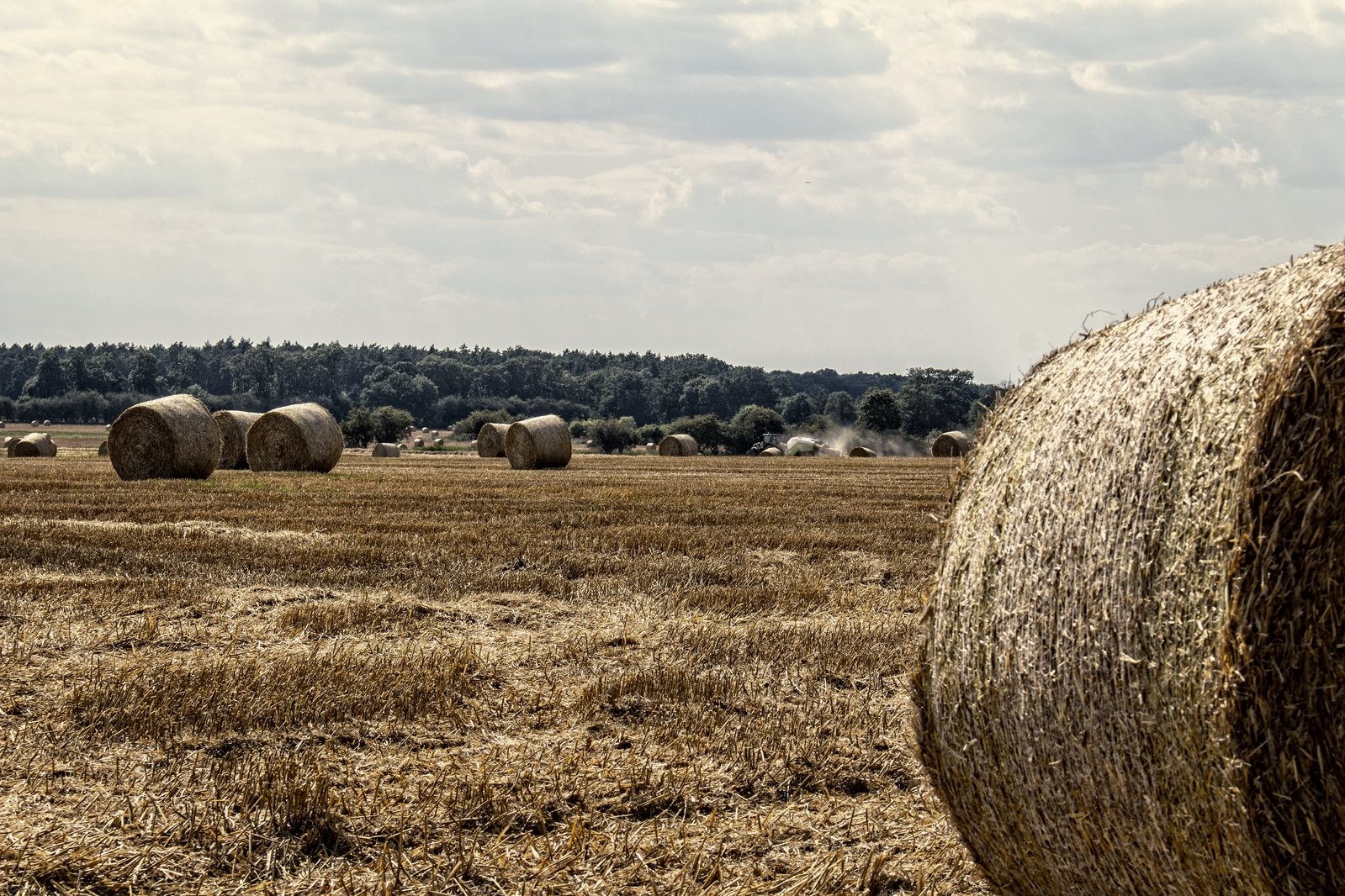 many bales of hay are in the middle of a field