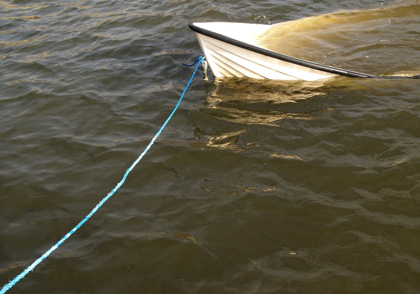 an outboard boat is anchored to a shore line