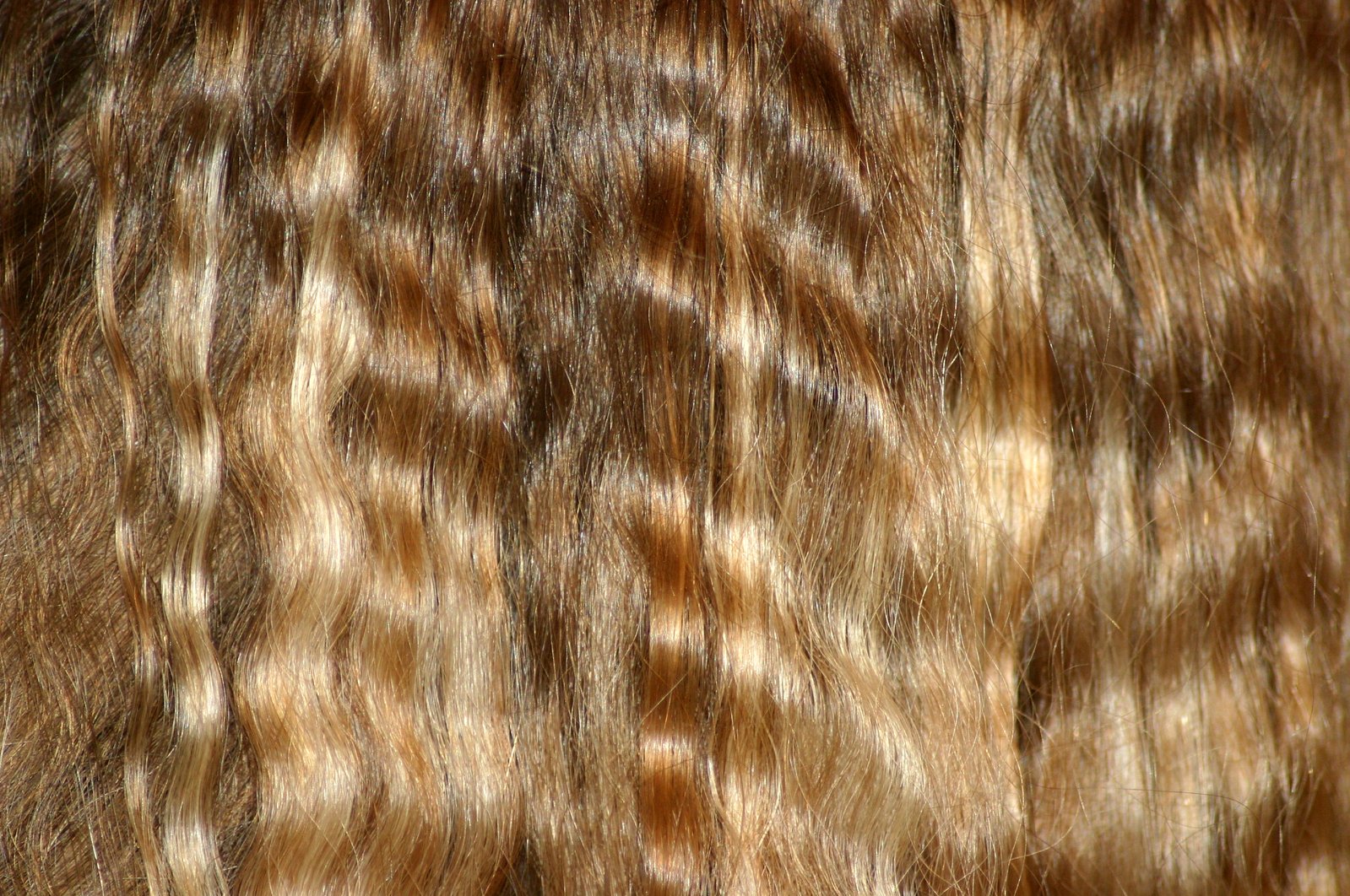 the hair of someone with brown hair is long and wavy