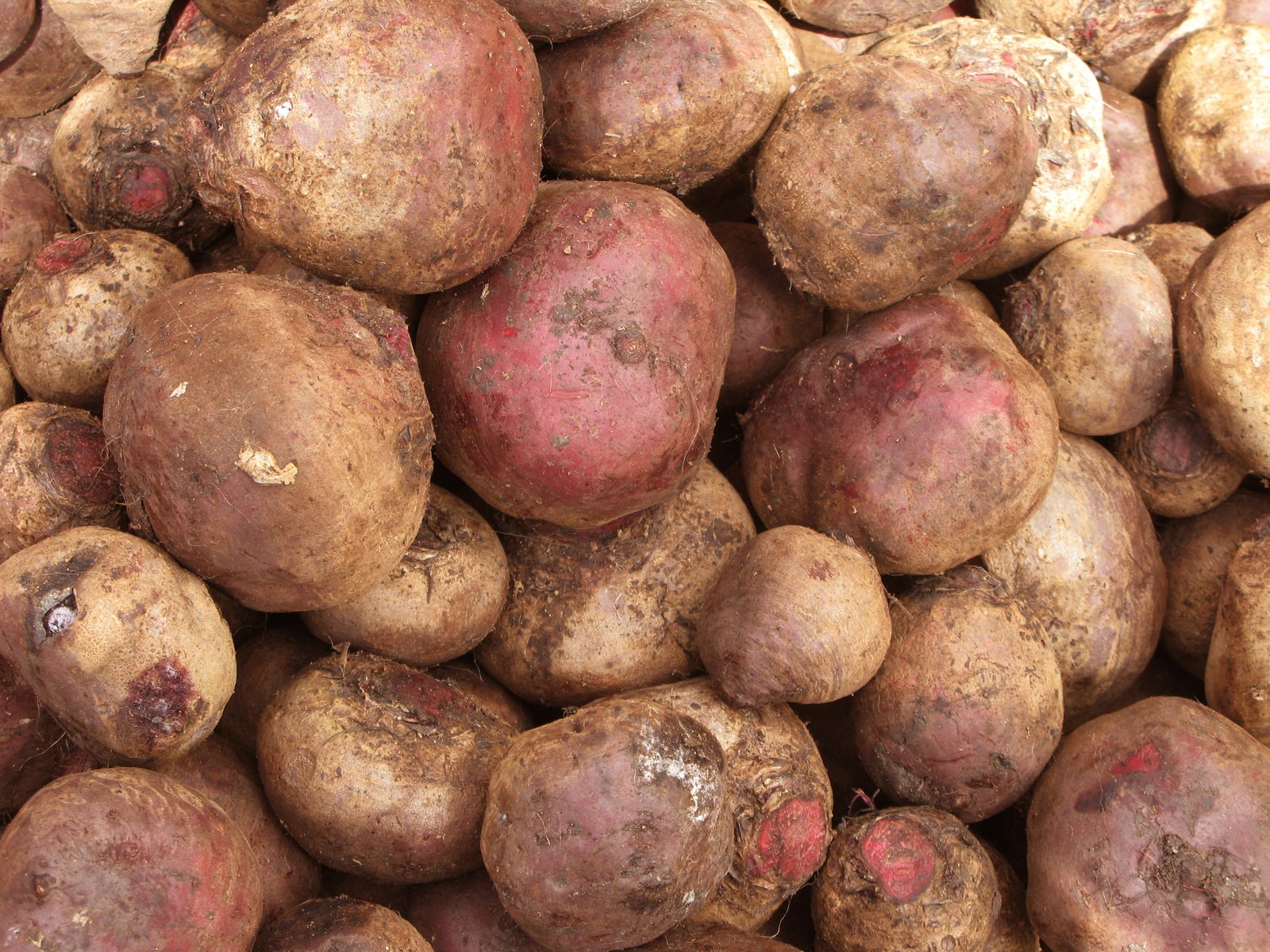 many potatoes piled on top of each other