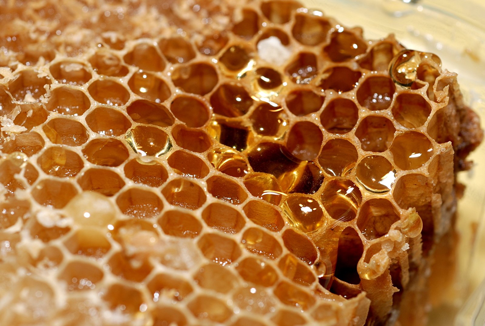 a honey cell sitting on a table near a table cloth