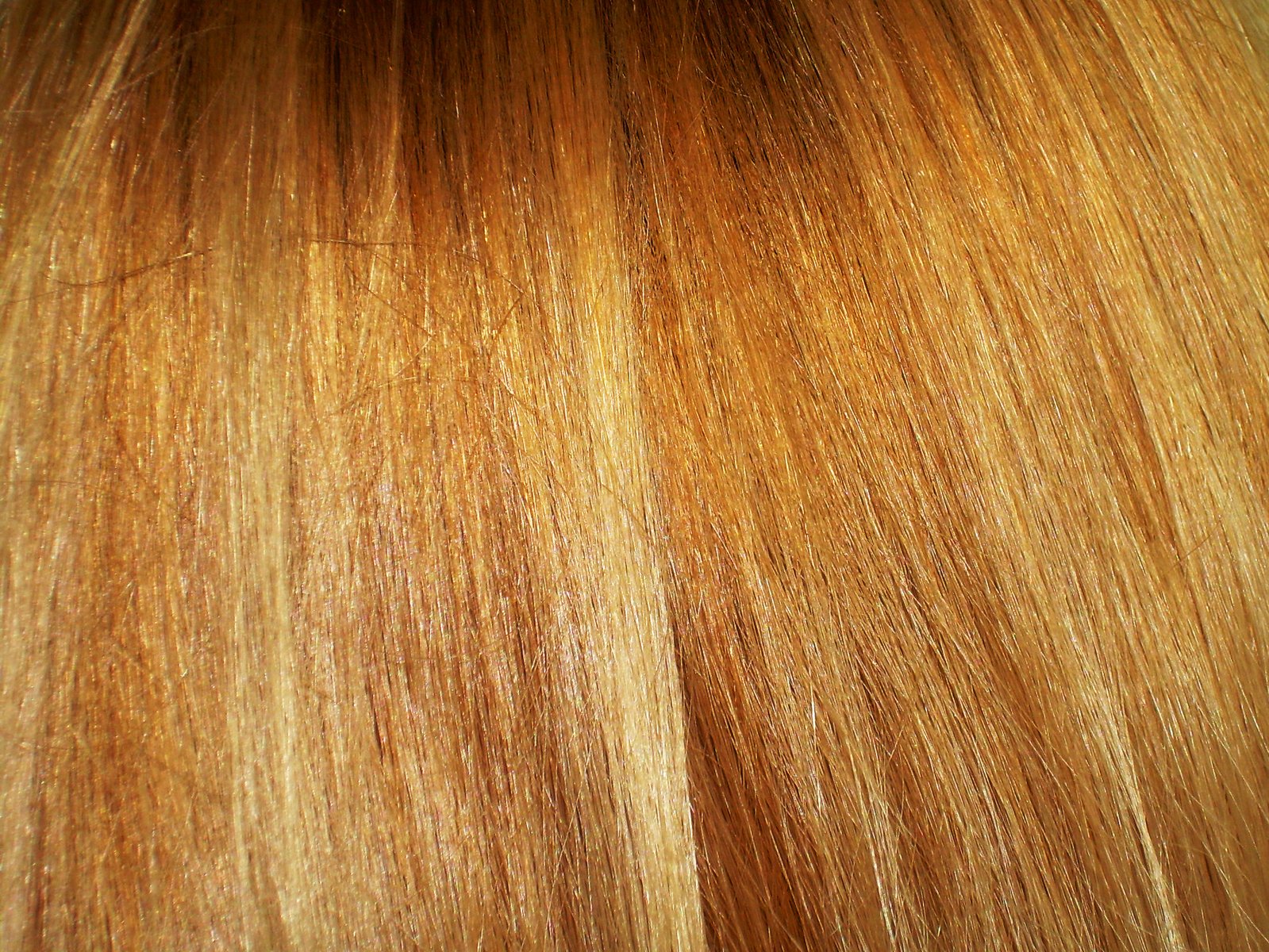closeup of the golden blond hair color