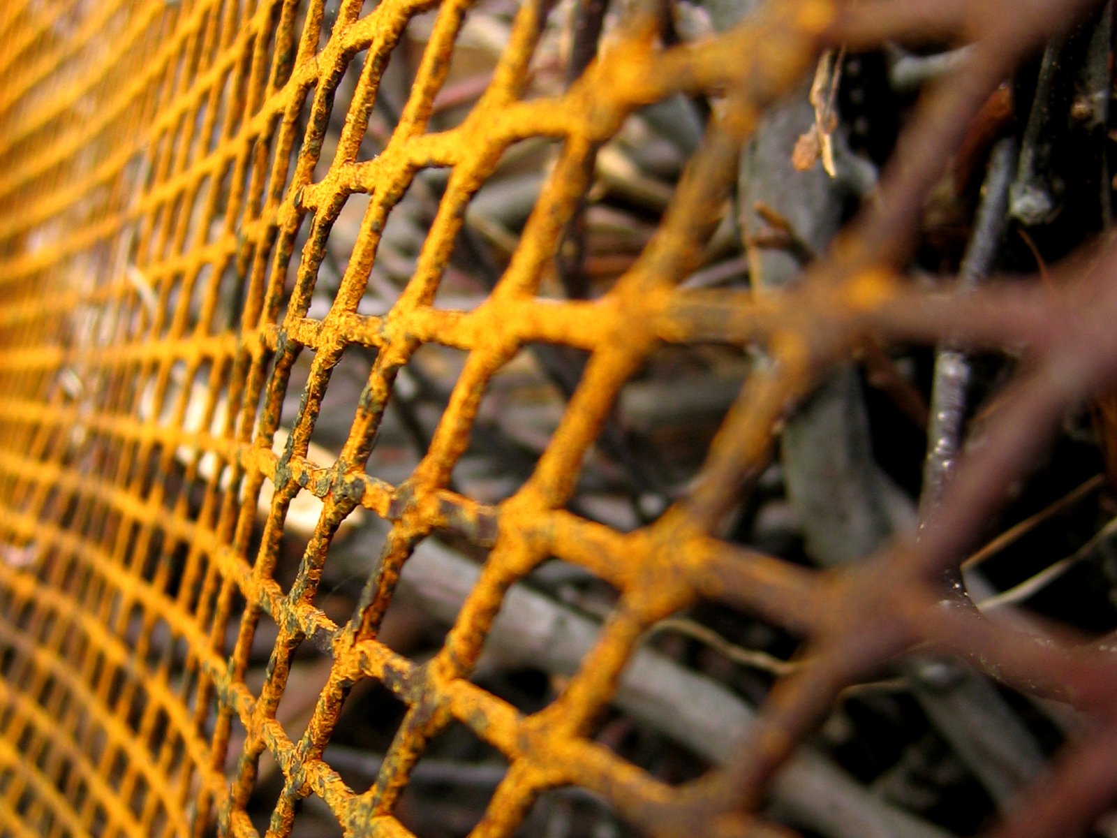 closeup of a metal cage on the floor