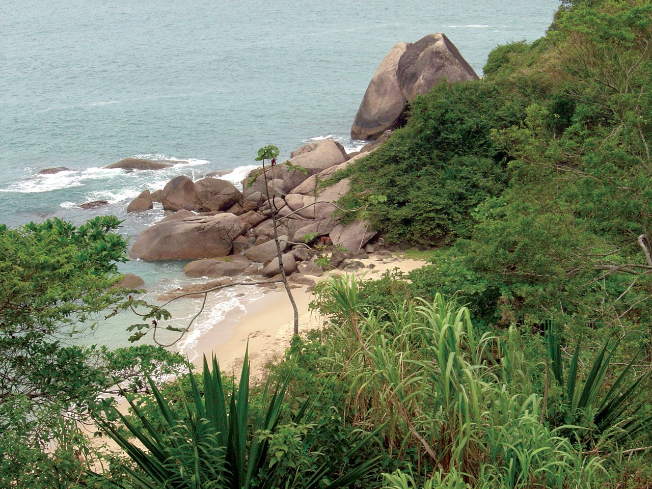 a rocky area by the beach with trees and water