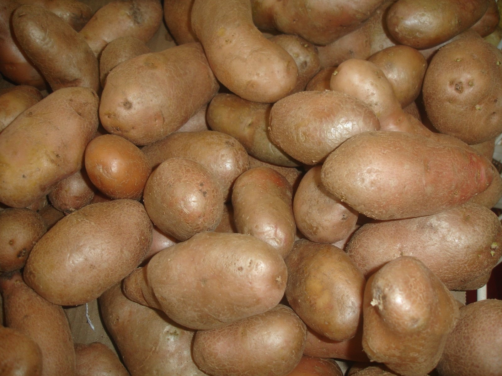 a pile of potato's with one yellow substance in the center