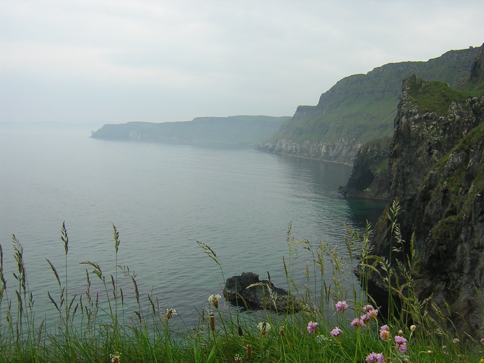 a rocky coast with water and grass on both sides