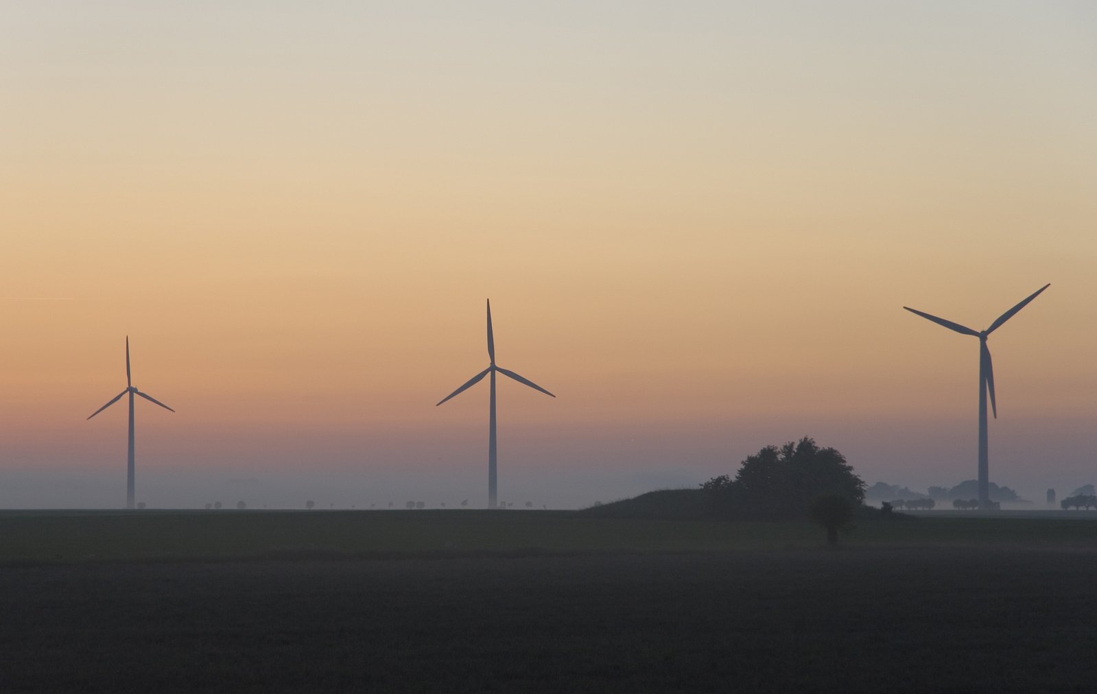 the sun sets and there are many wind mills on a field