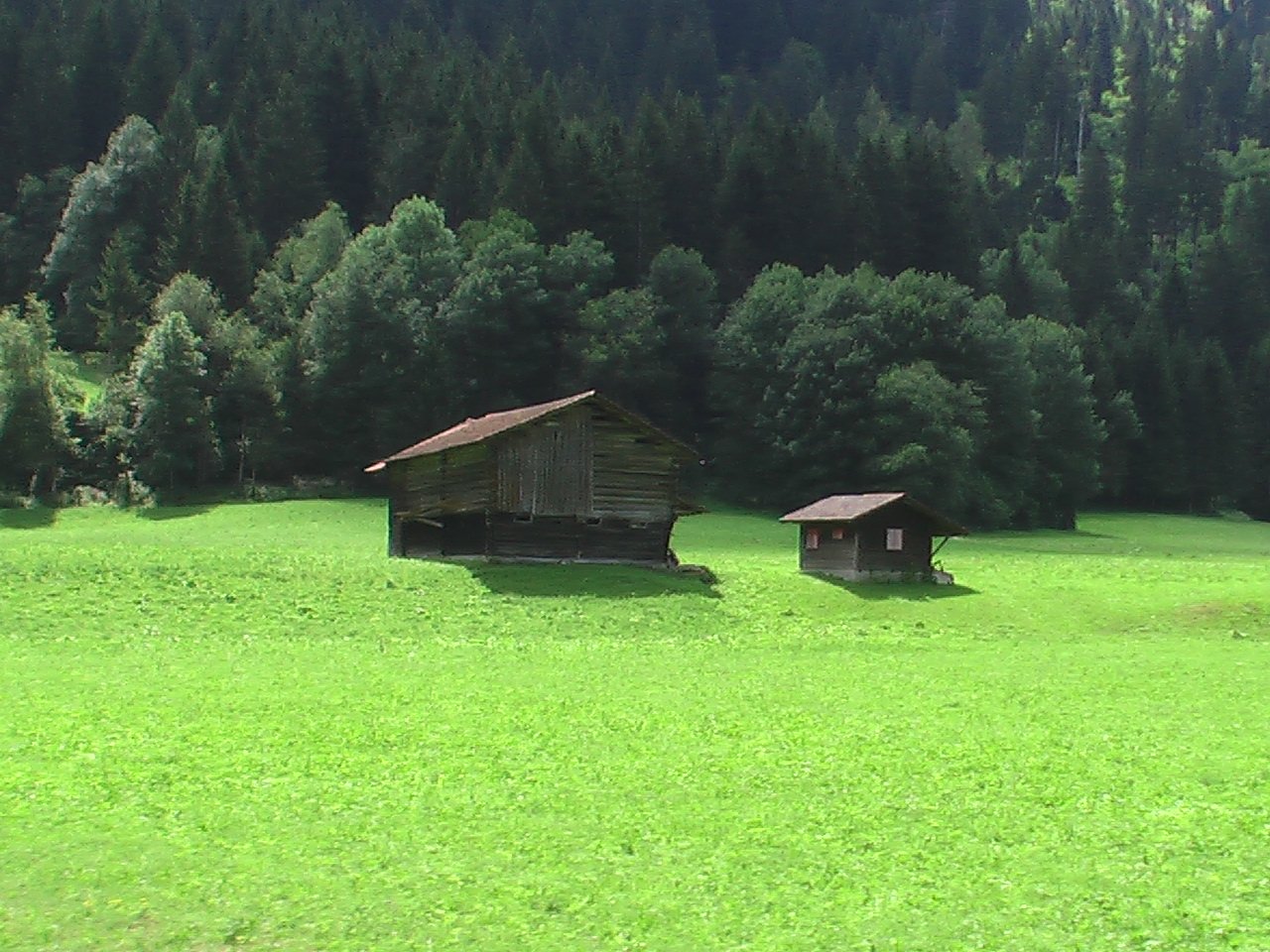 an image of a grassy field with two cabins