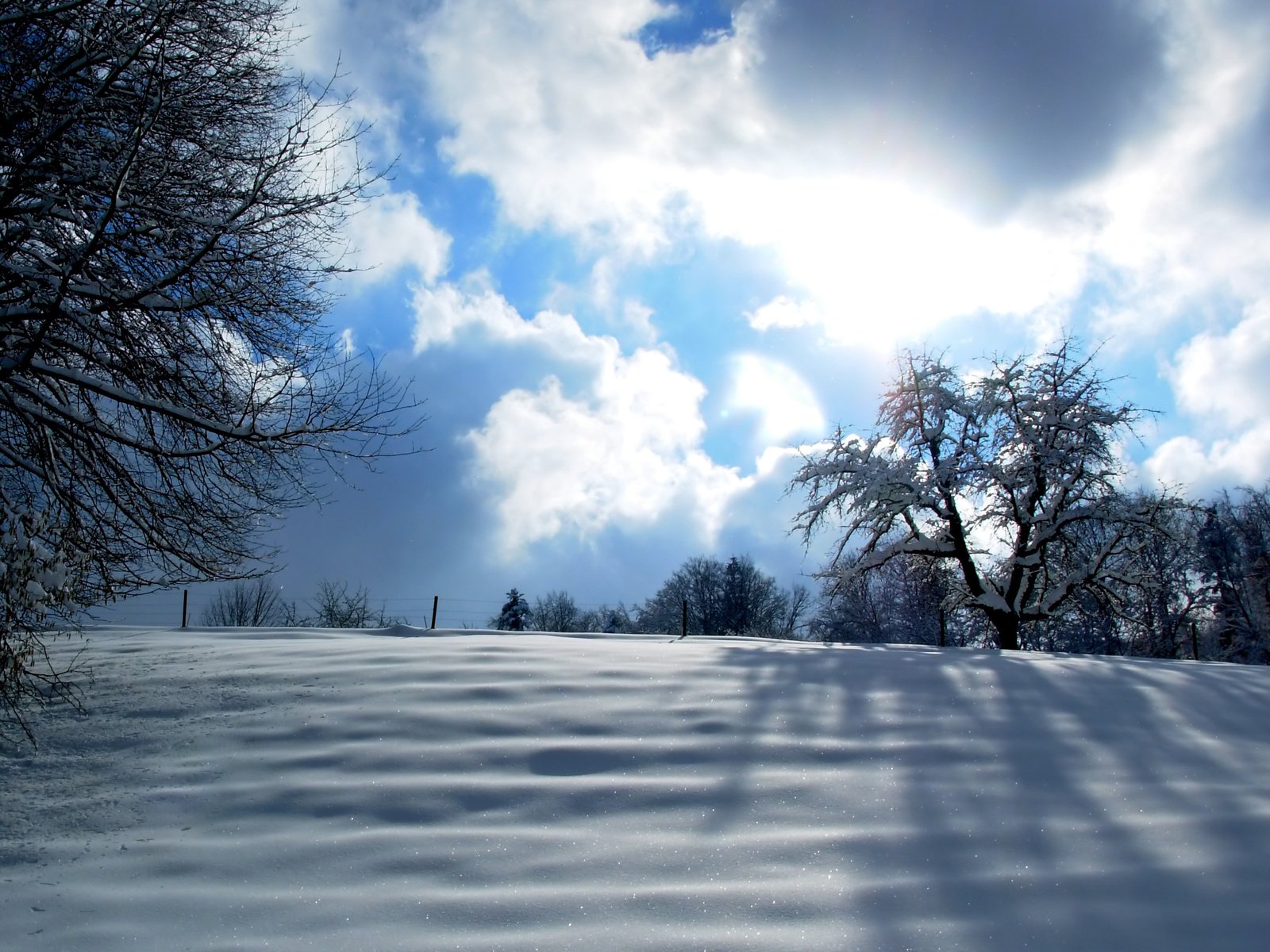 a snow covered slope with bare trees and clouds