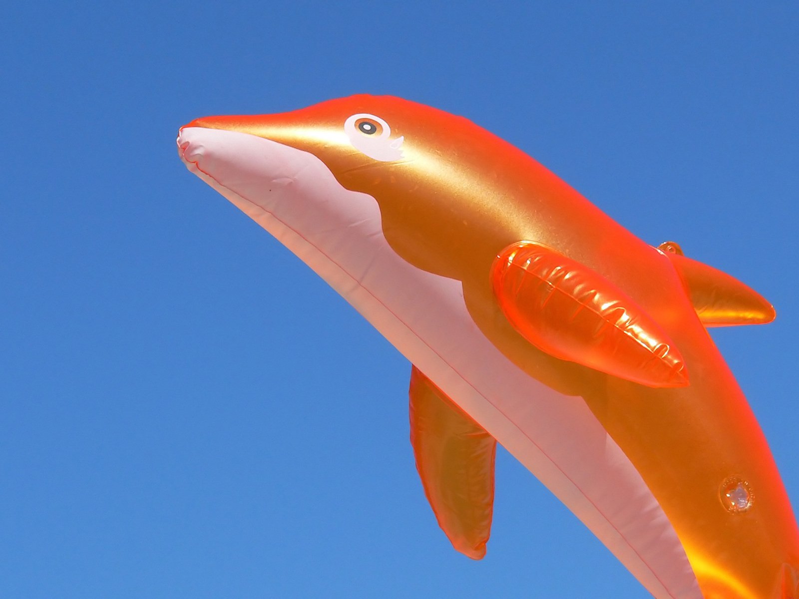 an inflatable shark kite flying through the air