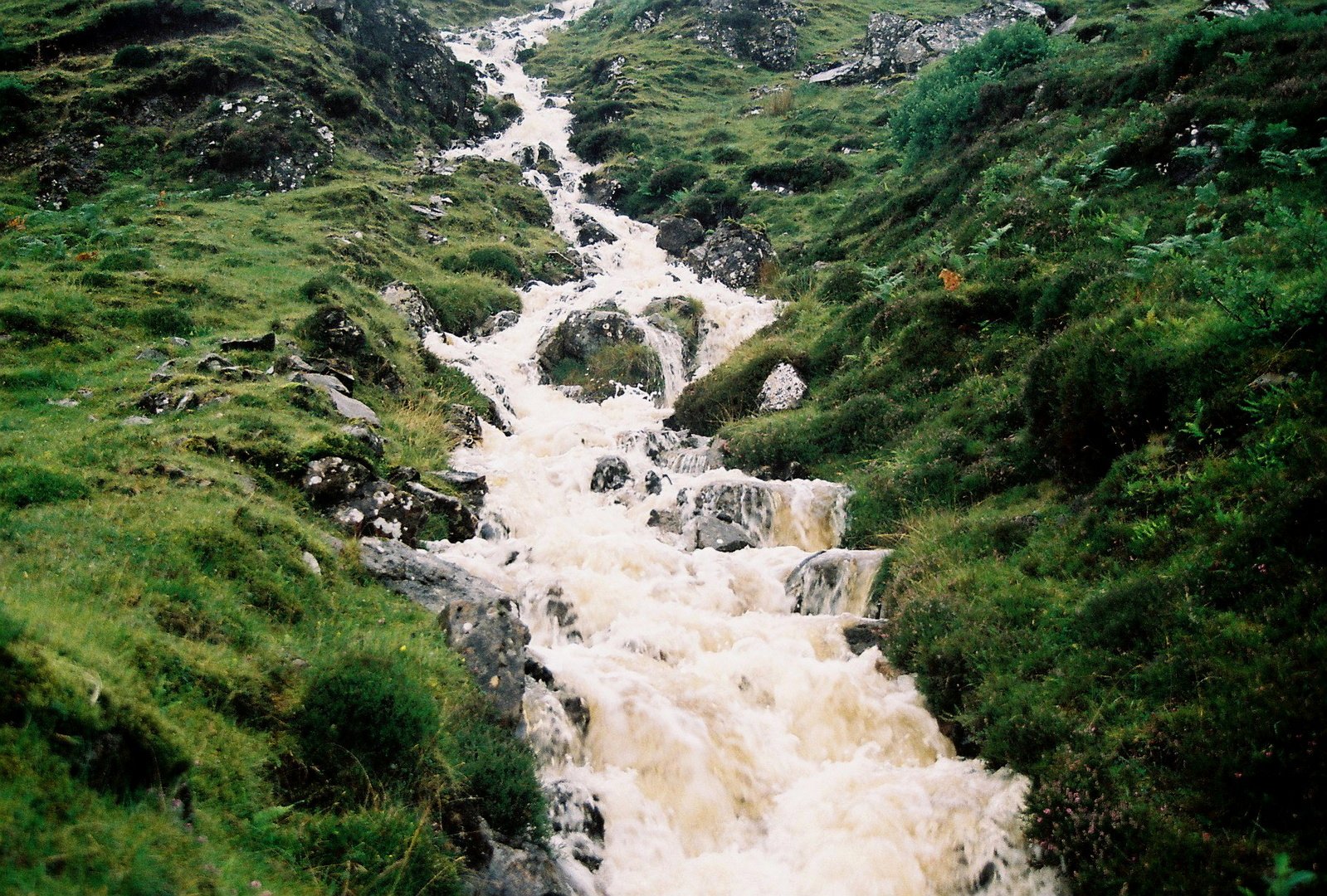 a long creek running between some grass and trees