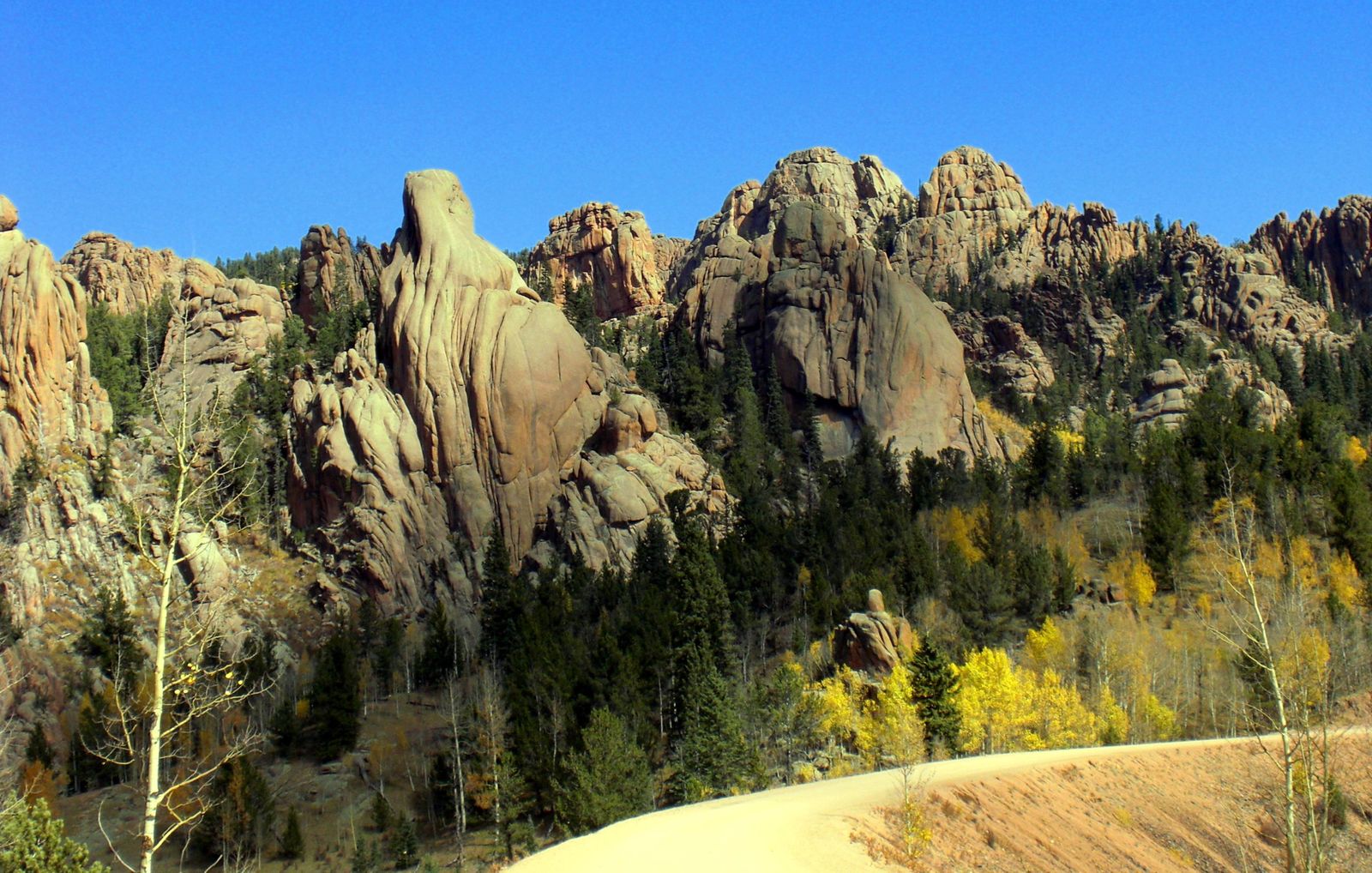 rocks, trees and a dirt path in the mountains