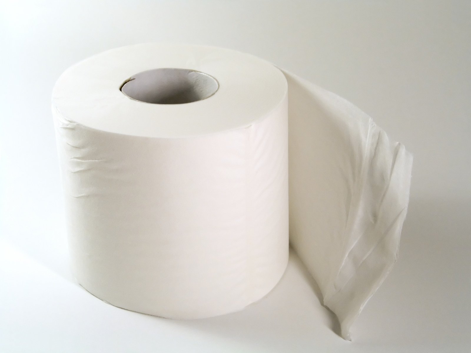 toilet roll with a large white roll of tissue