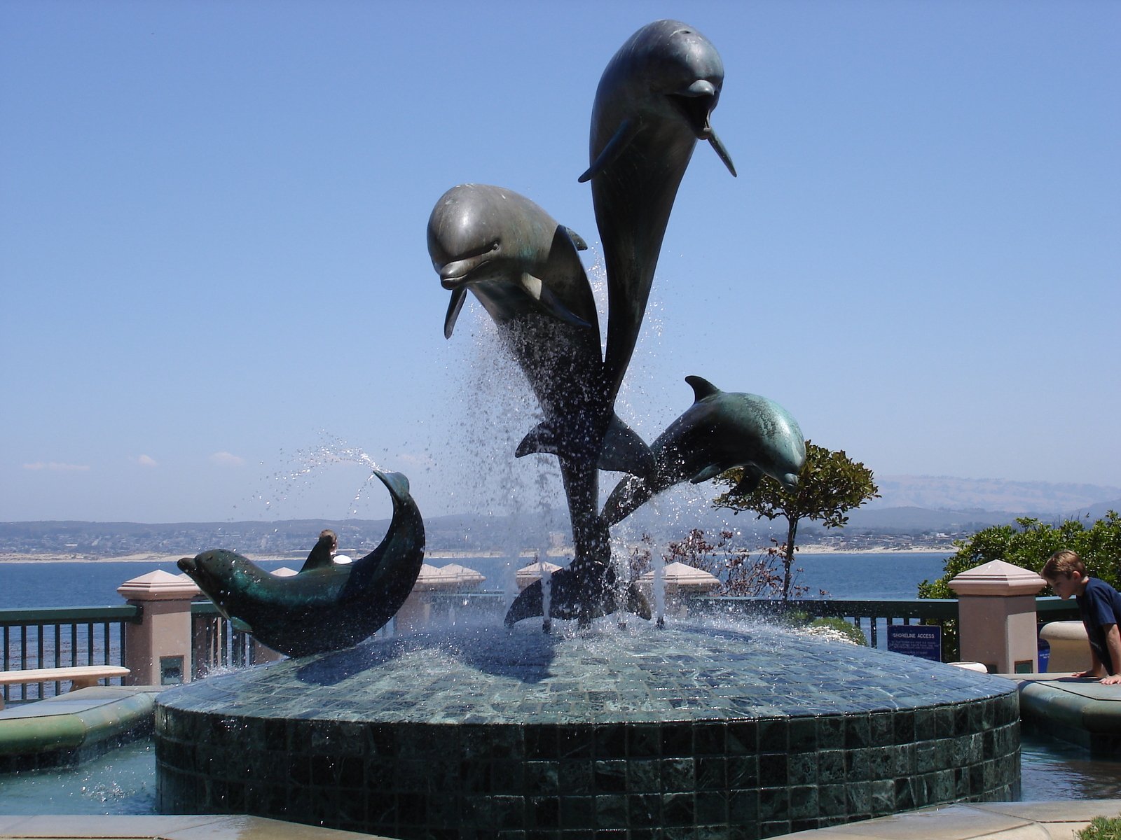 some dolphins that are performing in a fountain