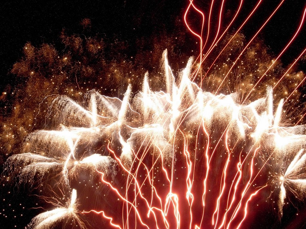 a fireworks display lit up the night sky