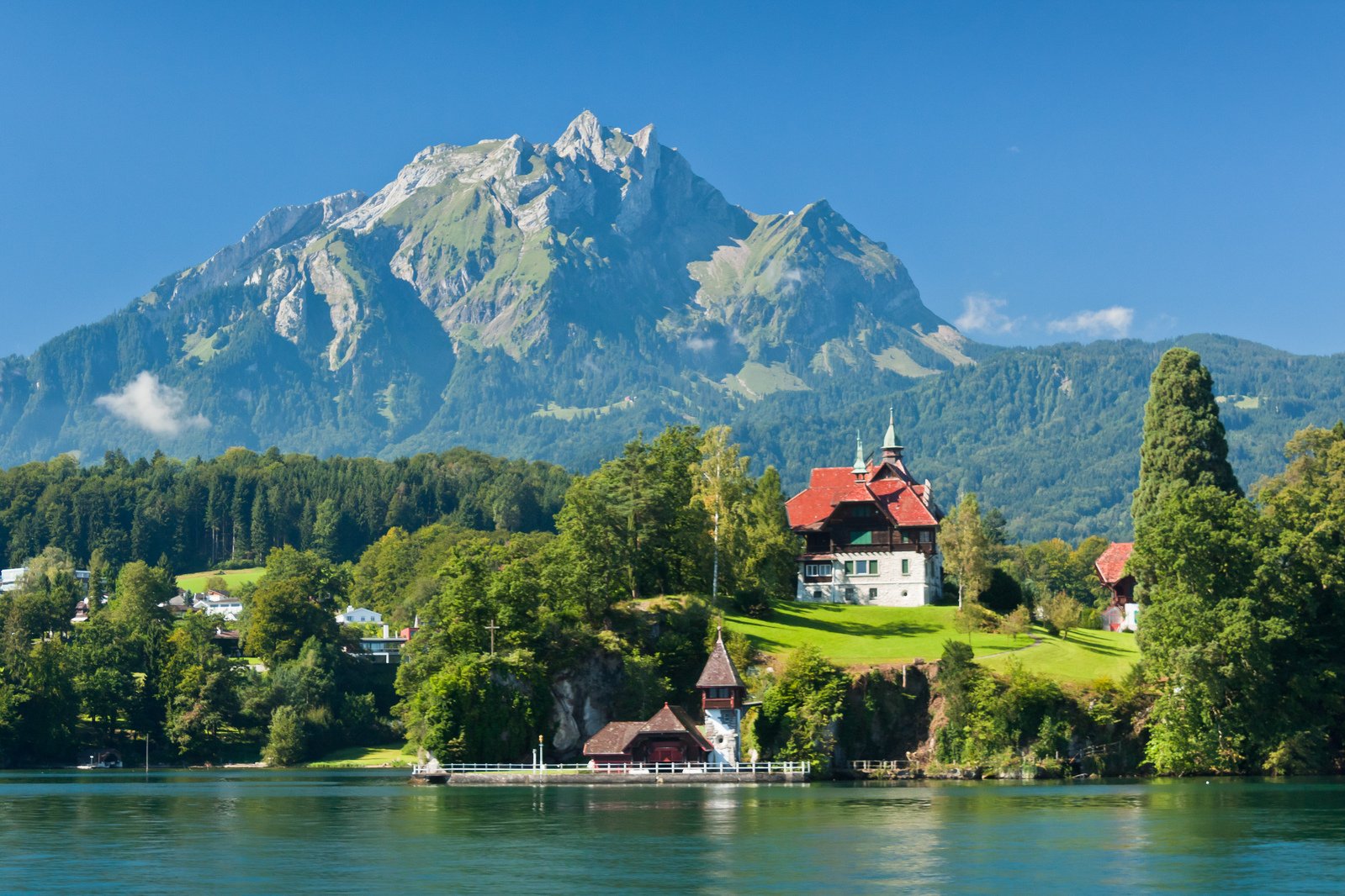 a green house sitting at the end of a lake near trees