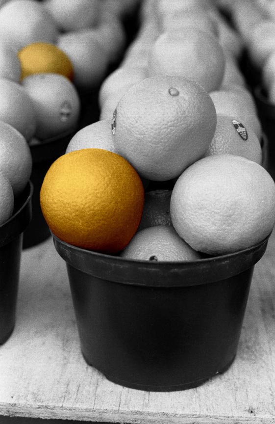 some oranges are in buckets next to other white ones