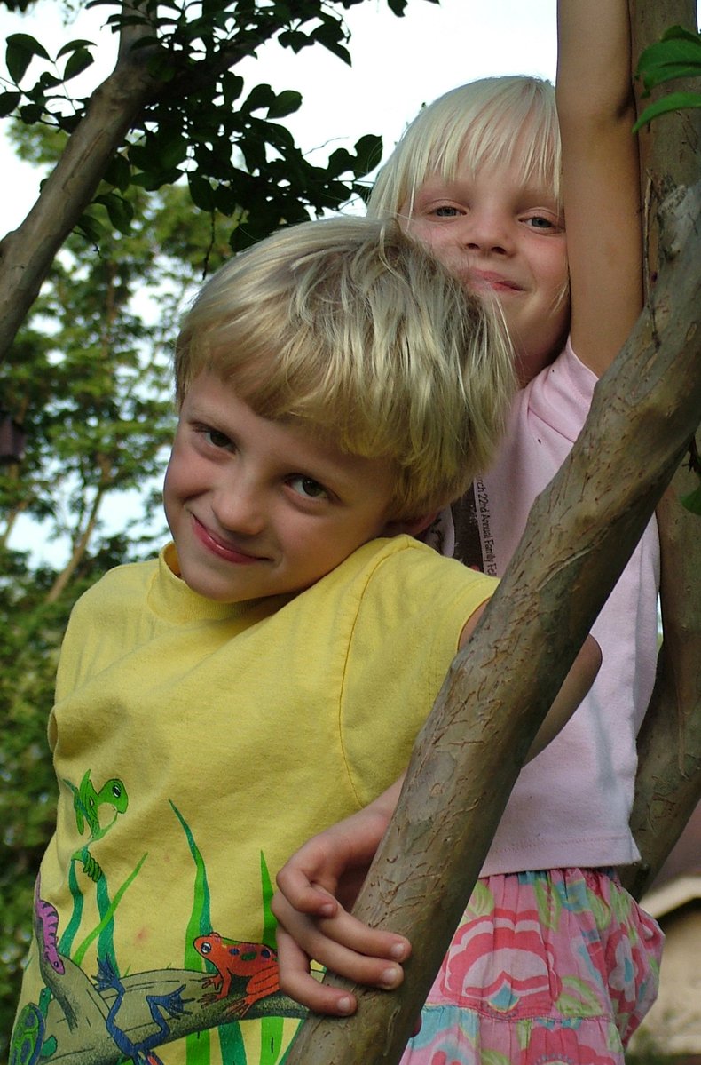 two little boys playing on a tree nch