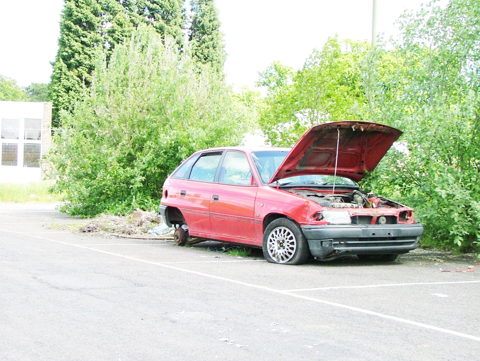 a red car in the middle of an overgrown area, it has its hood open