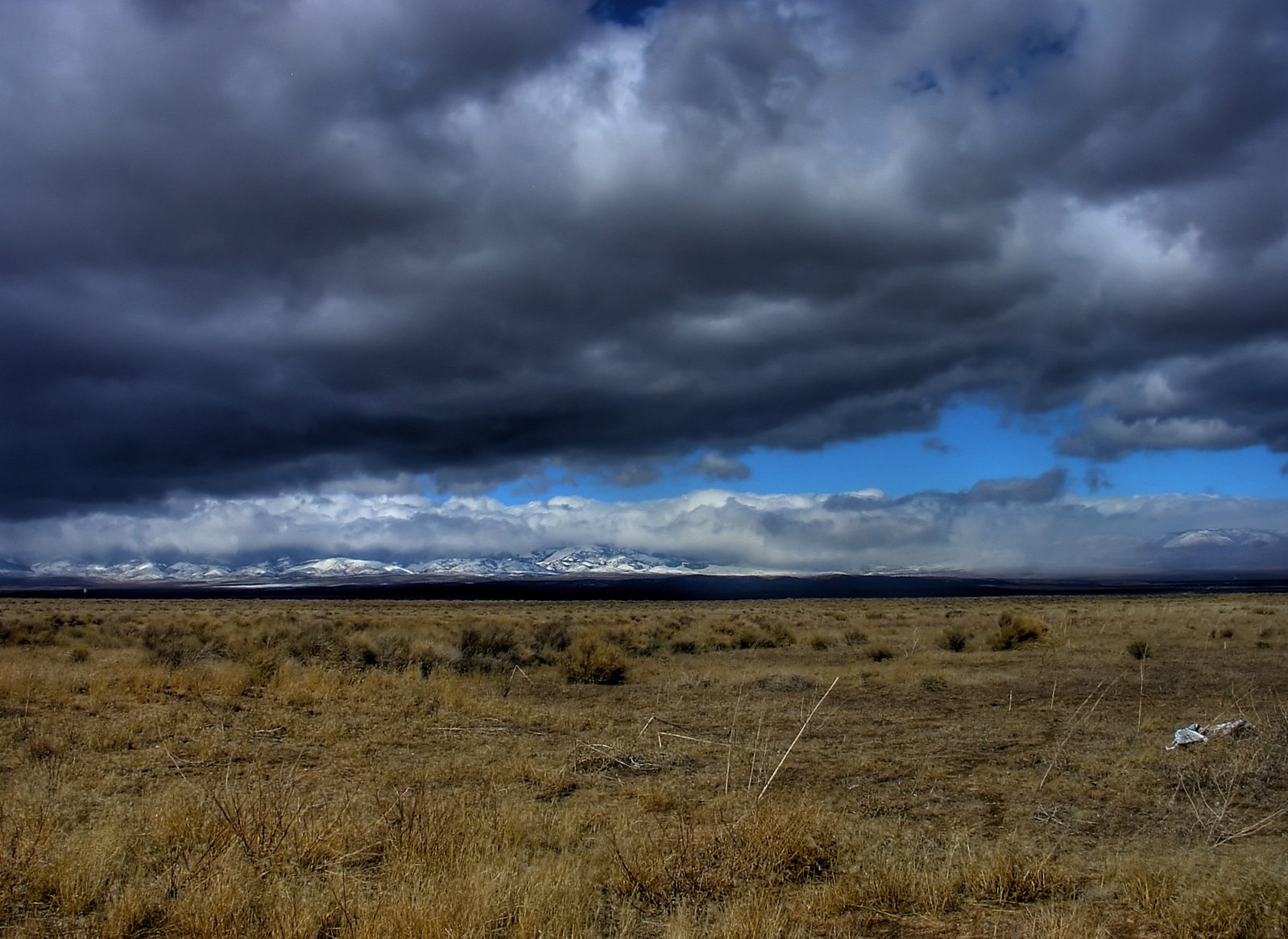 a large field with dry grass and grass covered in snow