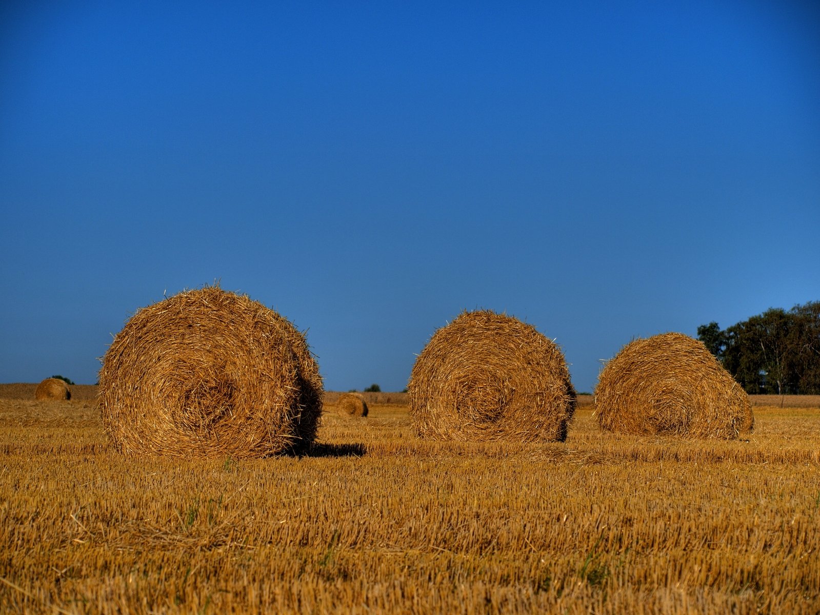 two hay bales that are in the middle of a field