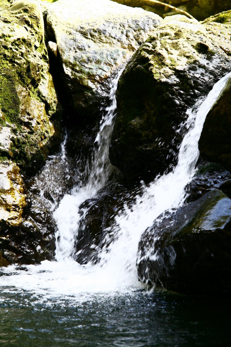 water falls over mossy rocks into the water