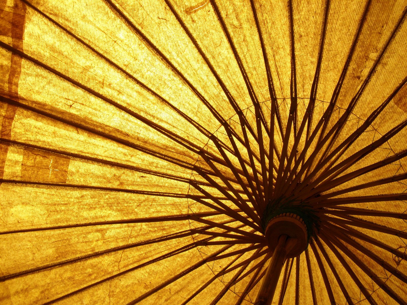 the side view of a sunlit umbrella with long lines