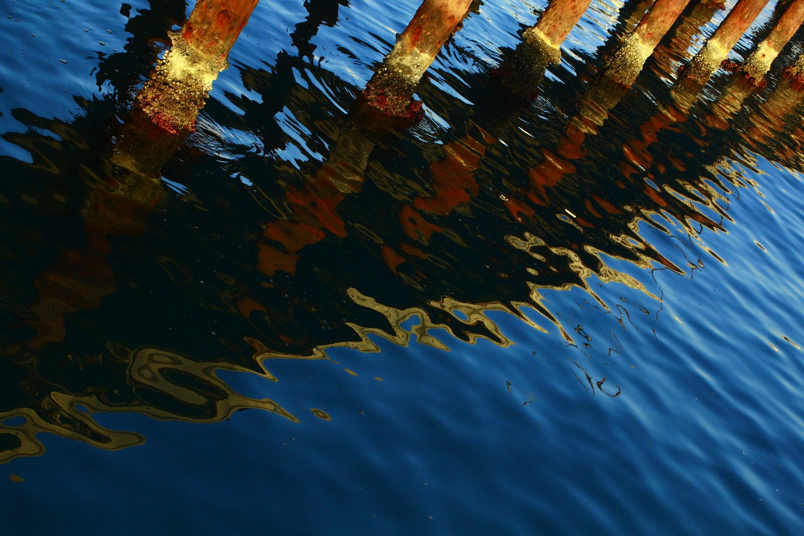 reflection of two men on a dock in water