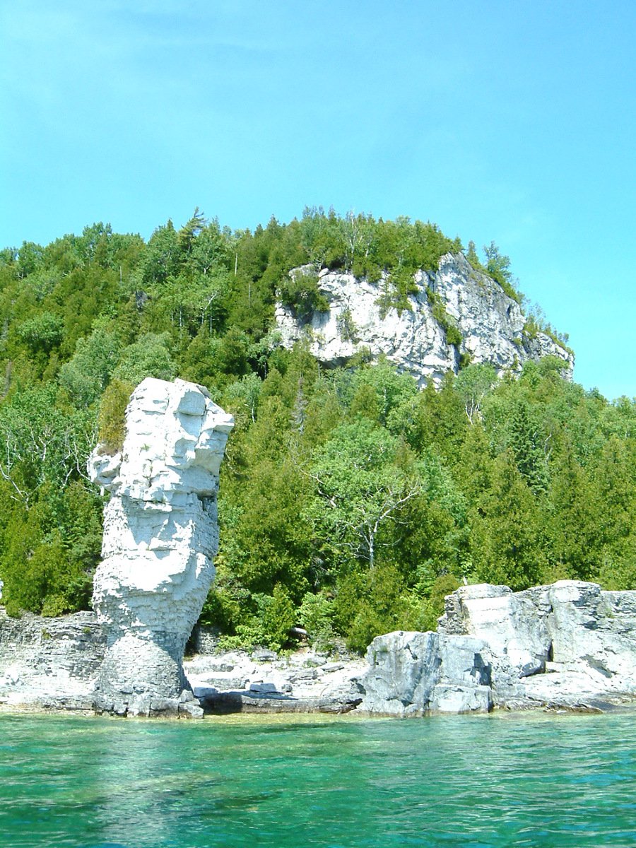 some trees are on a side of the water and rocks