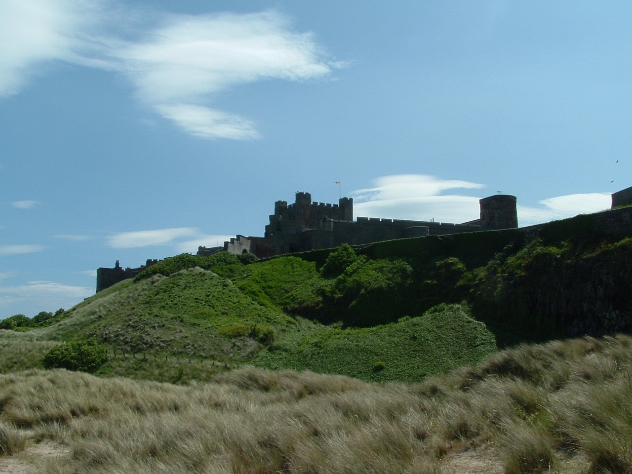 there is grass growing by the edge of a castle