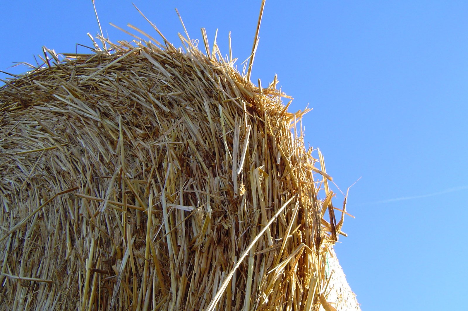 a pile of hay with blue sky in the background