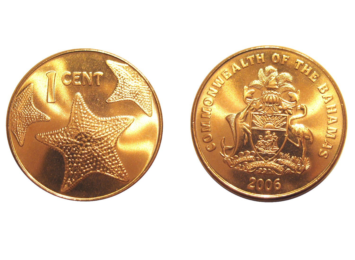 the gold coin is next to an image of the king
