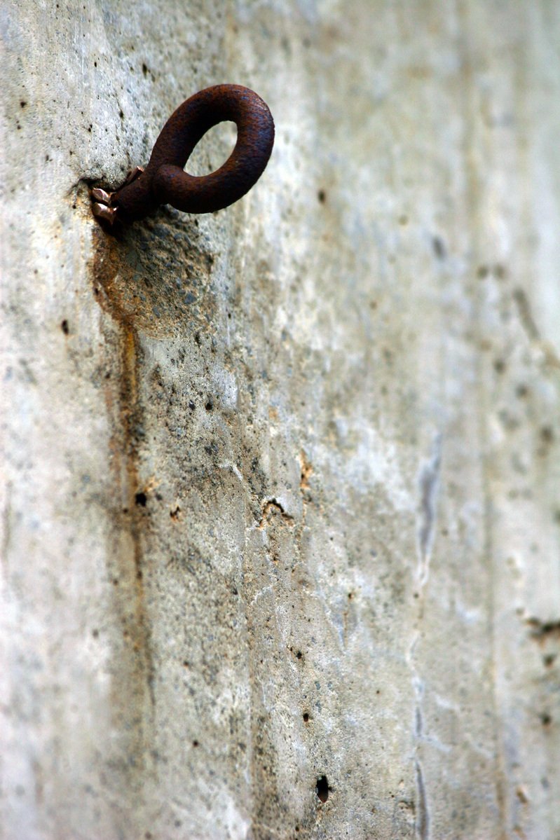a large snake on a stone wall with brown colored nails