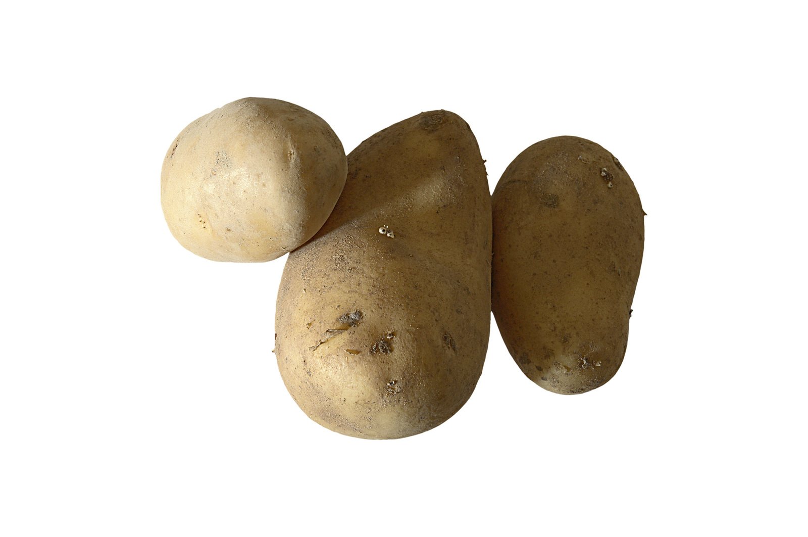 three potatoes on white background in perspective