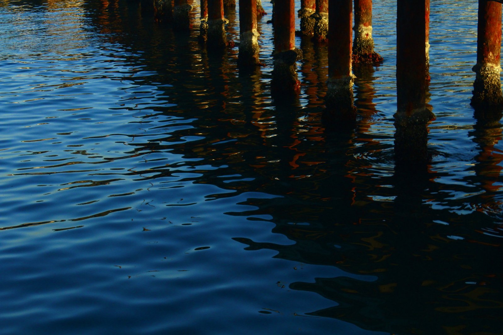 a bridge is shown in the water with poles extending out to it