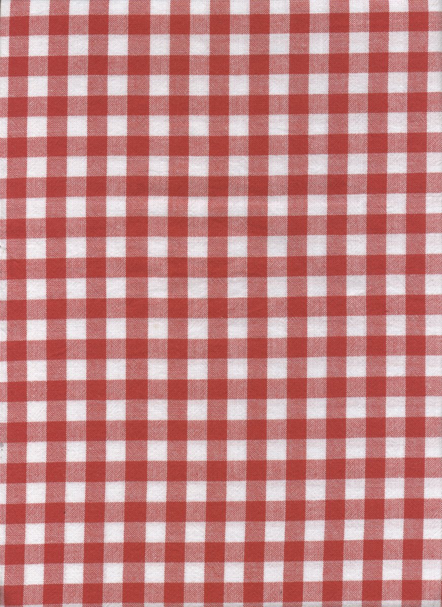 a white and red checked tablecloth that is very old