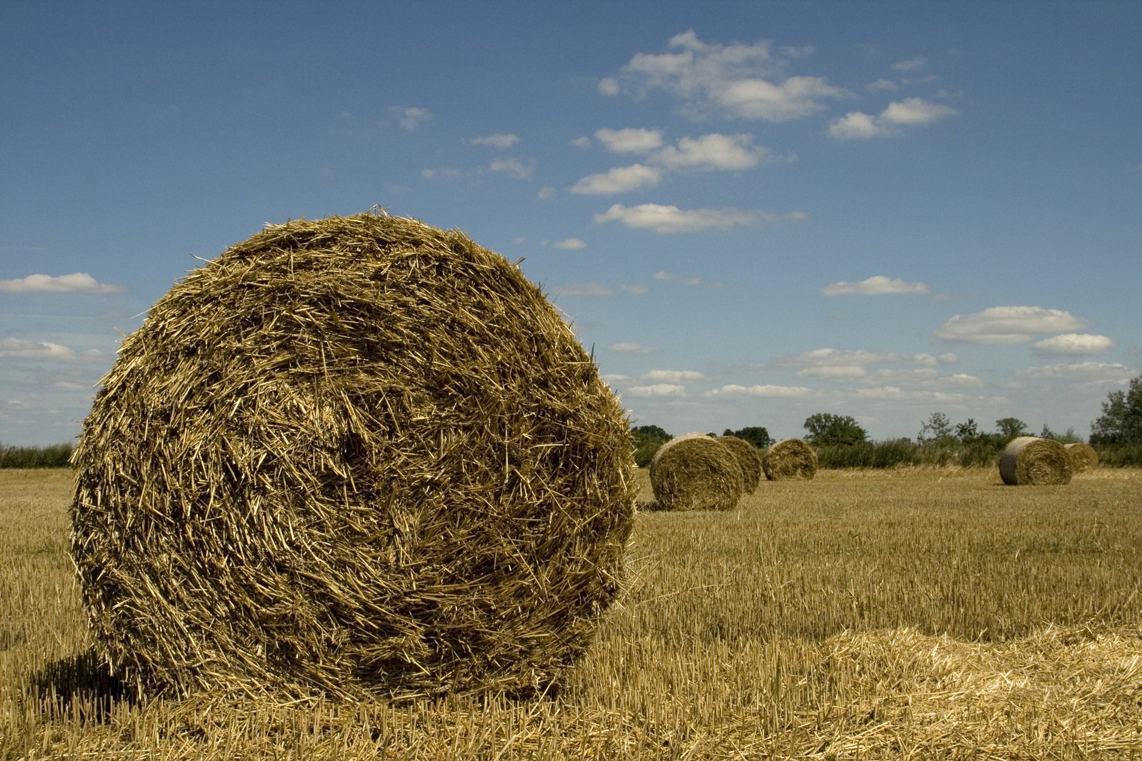 a large hay bail in an empty pasture