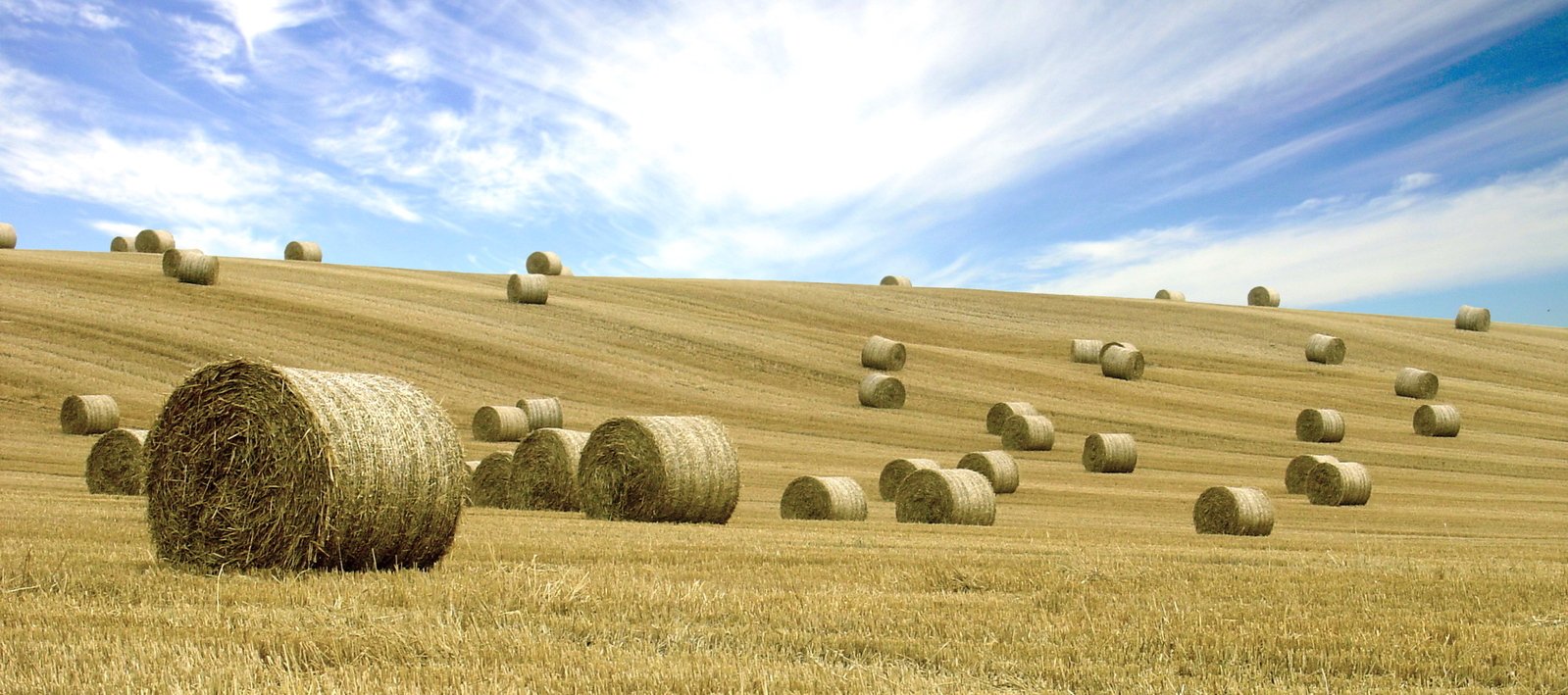 several hay bales stacked on top of each other