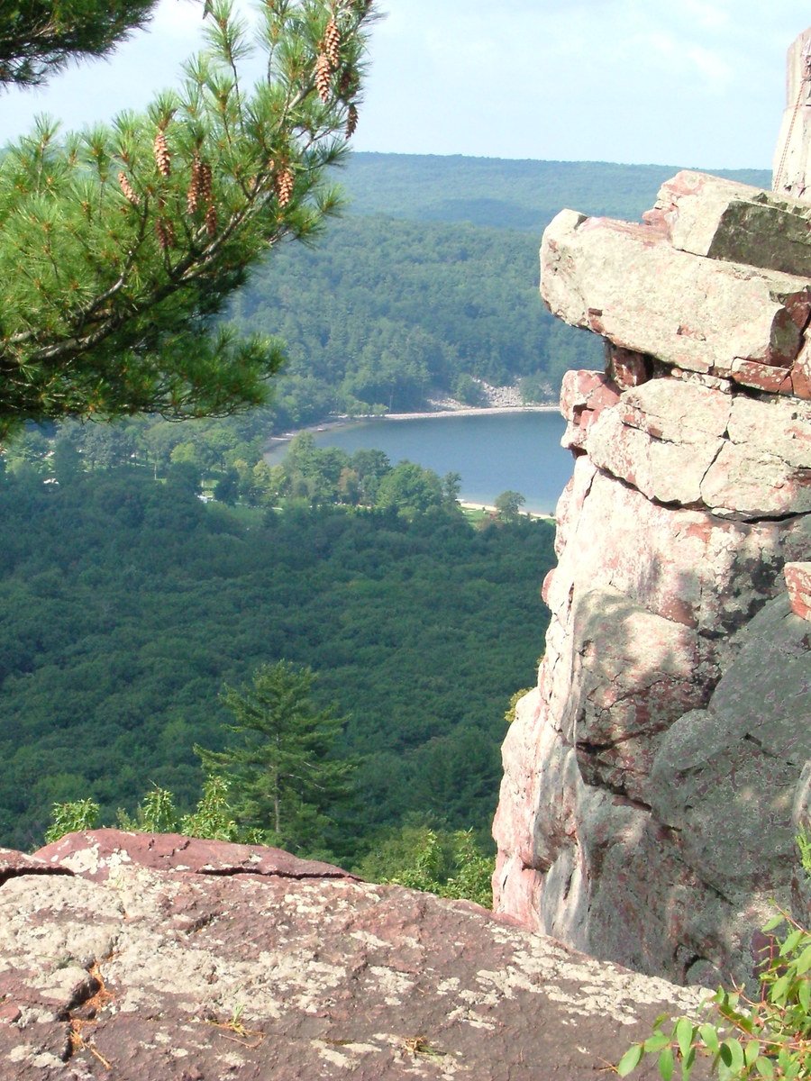 a green tree sits on top of a rock outcropping