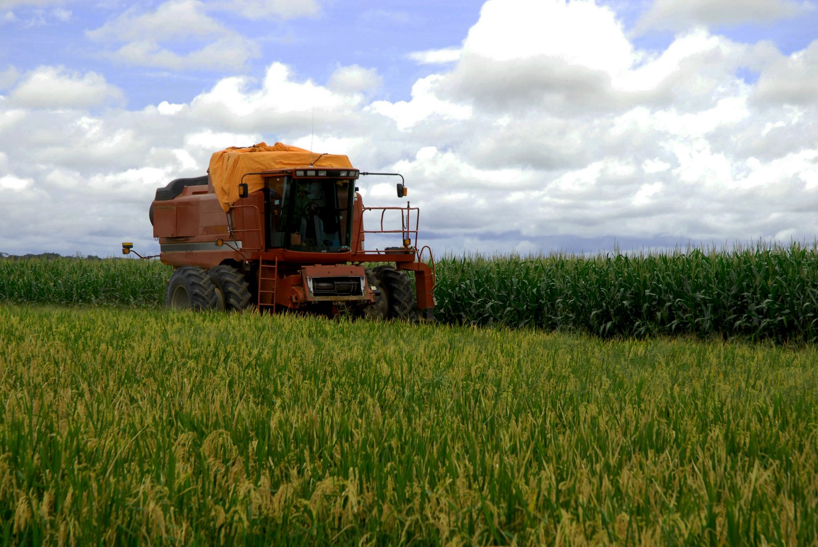 a orange tractor pulling a bale of hay through a field