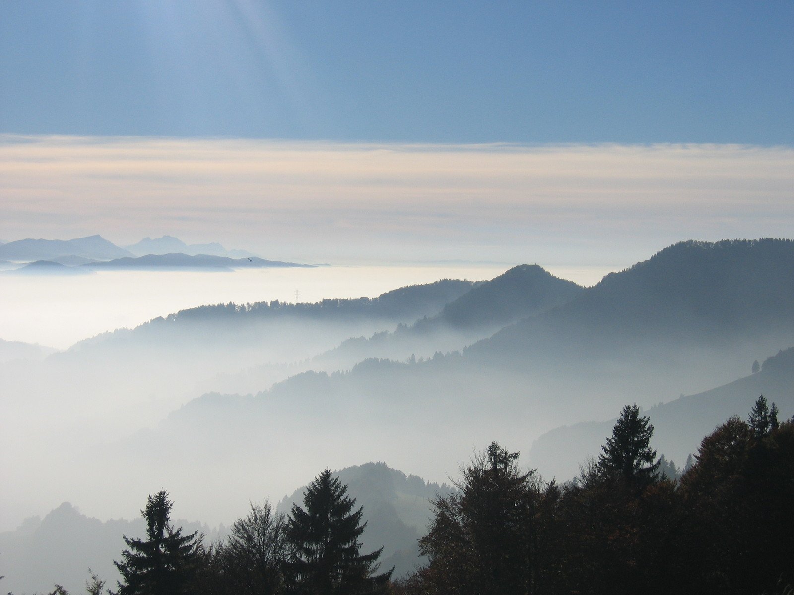 a group of trees and some hills covered in fog