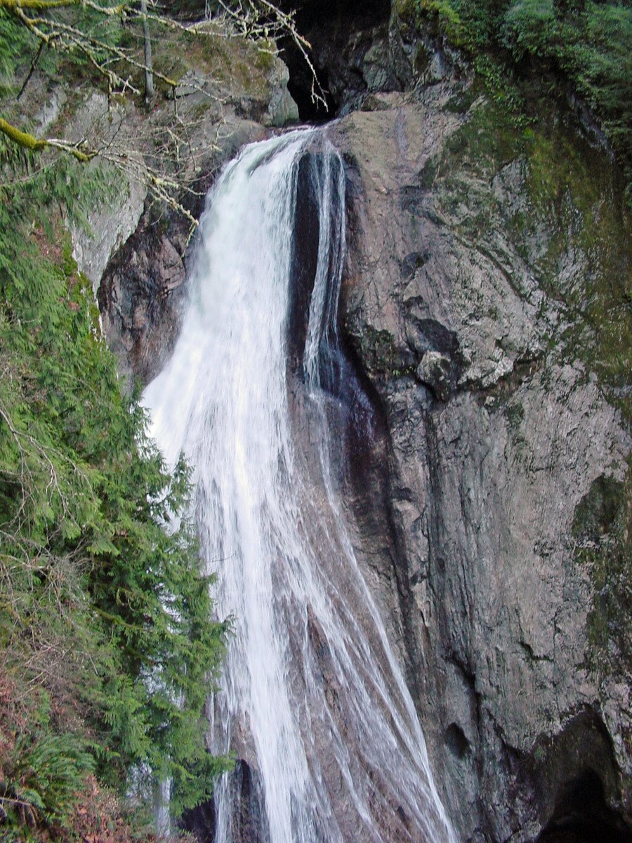 water cascading from large rock into a creek in wooded area