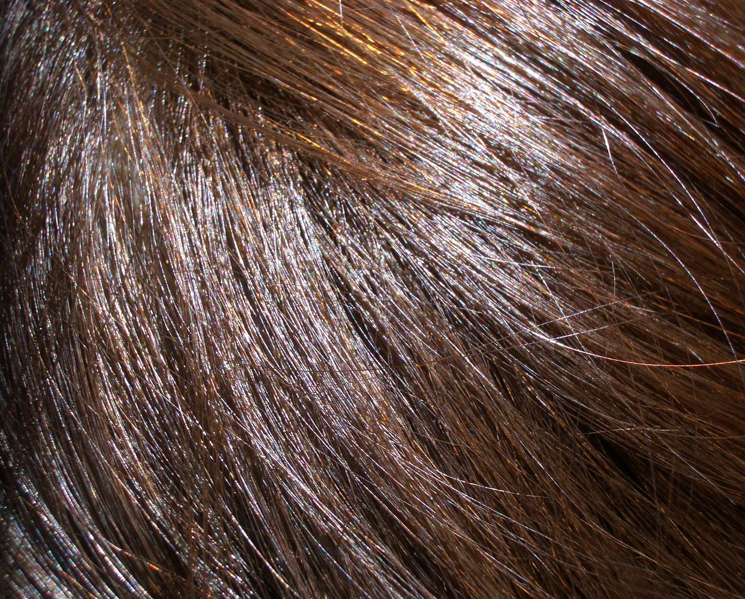 a close up po of brown hair