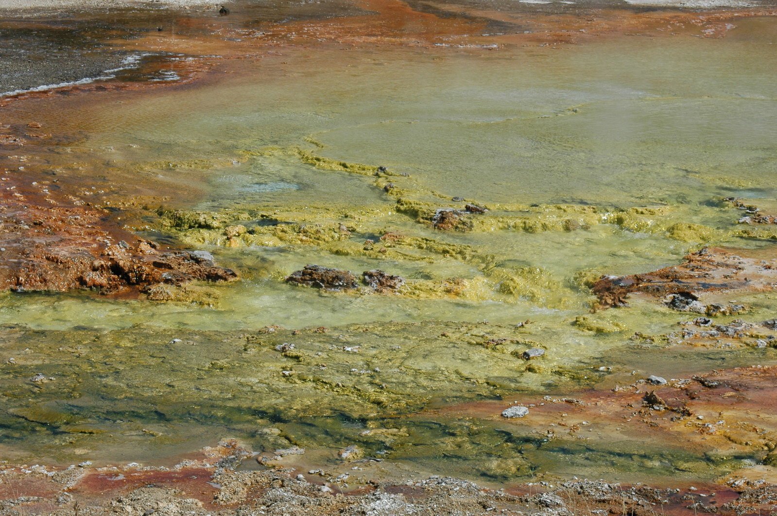 an aerial view of green and yellow water and rock formations