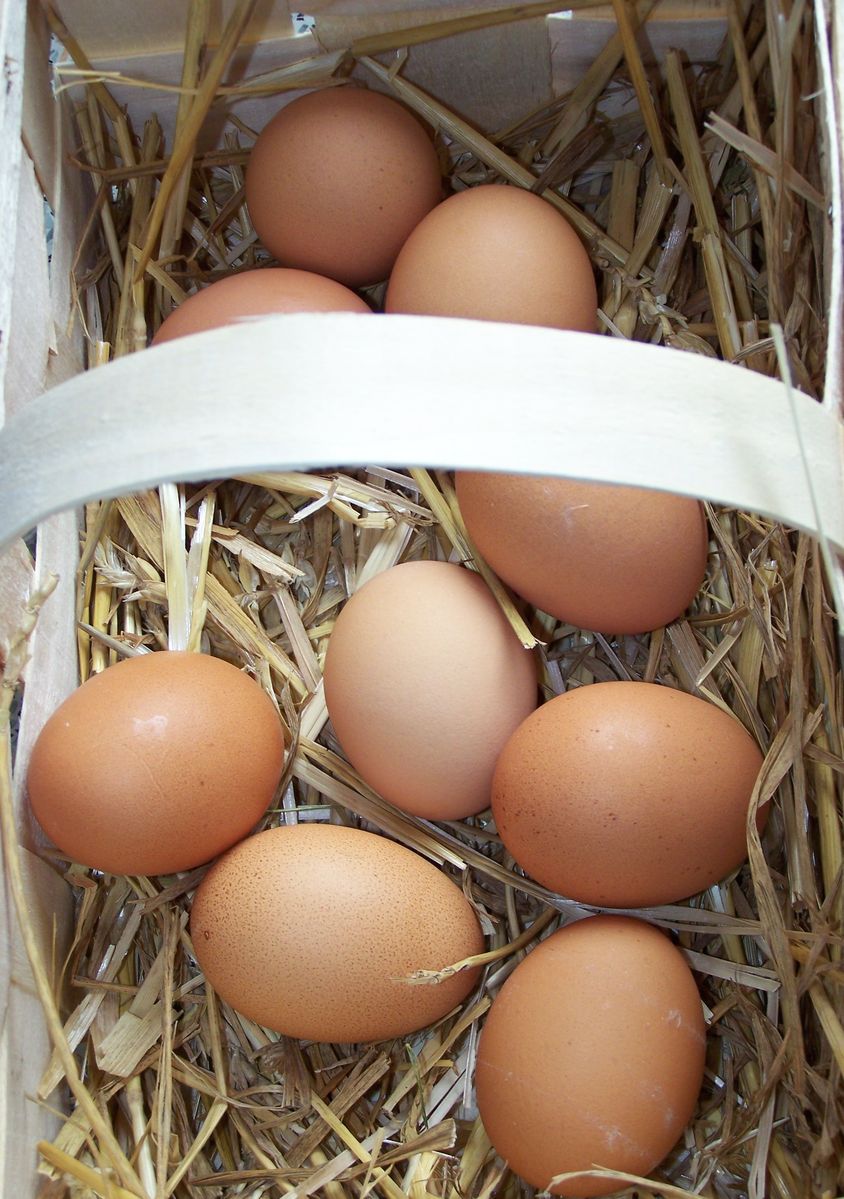 several brown eggs laying in a cardboard box