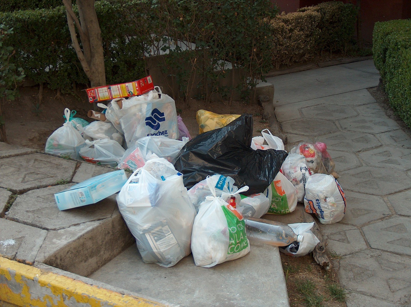 many bags and garbage on a sidewalk near bushes