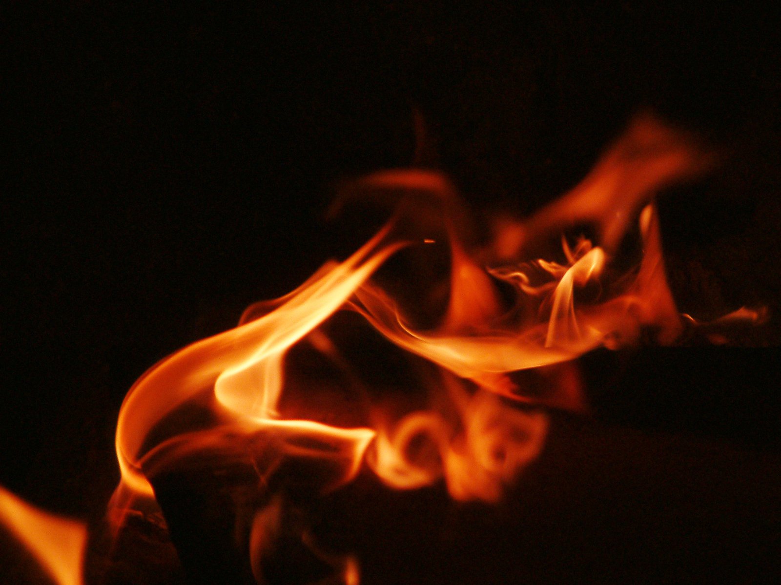 fire is lit in the dark on a black background